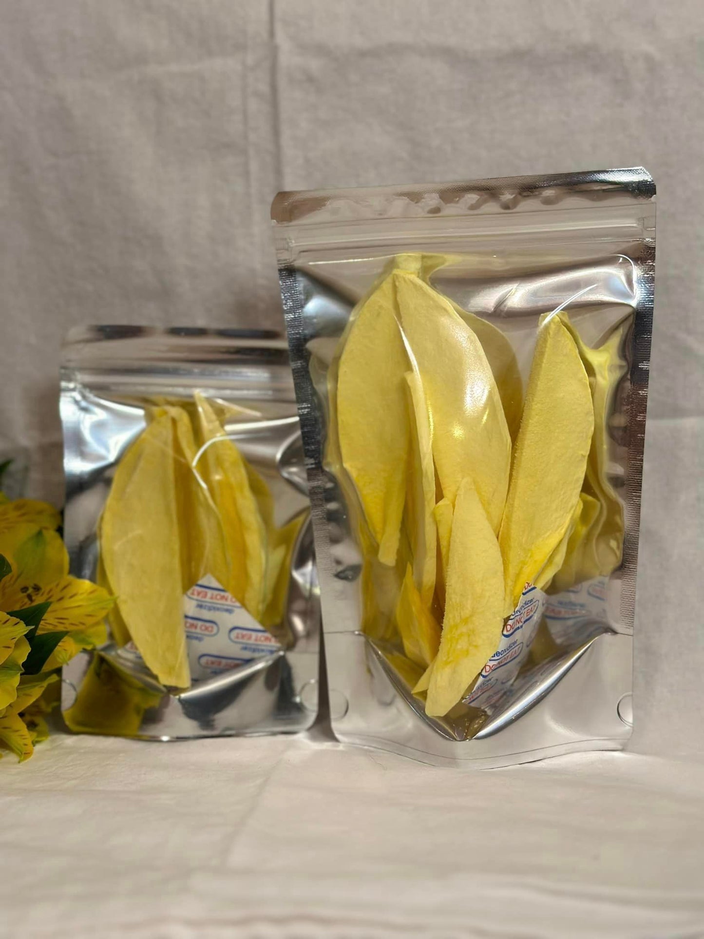 Freeze Dried Mango Slices - 4oz