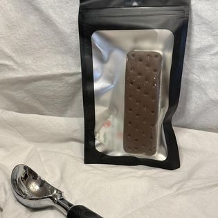 Freeze Dried Ice Cream Sandwich - original